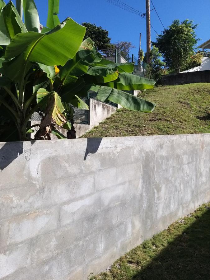 Aquaverde Eco Et Confort- Bas De Villa Avec Jardin Et Parking Le Gosier (Grande-Terre) Exterior foto